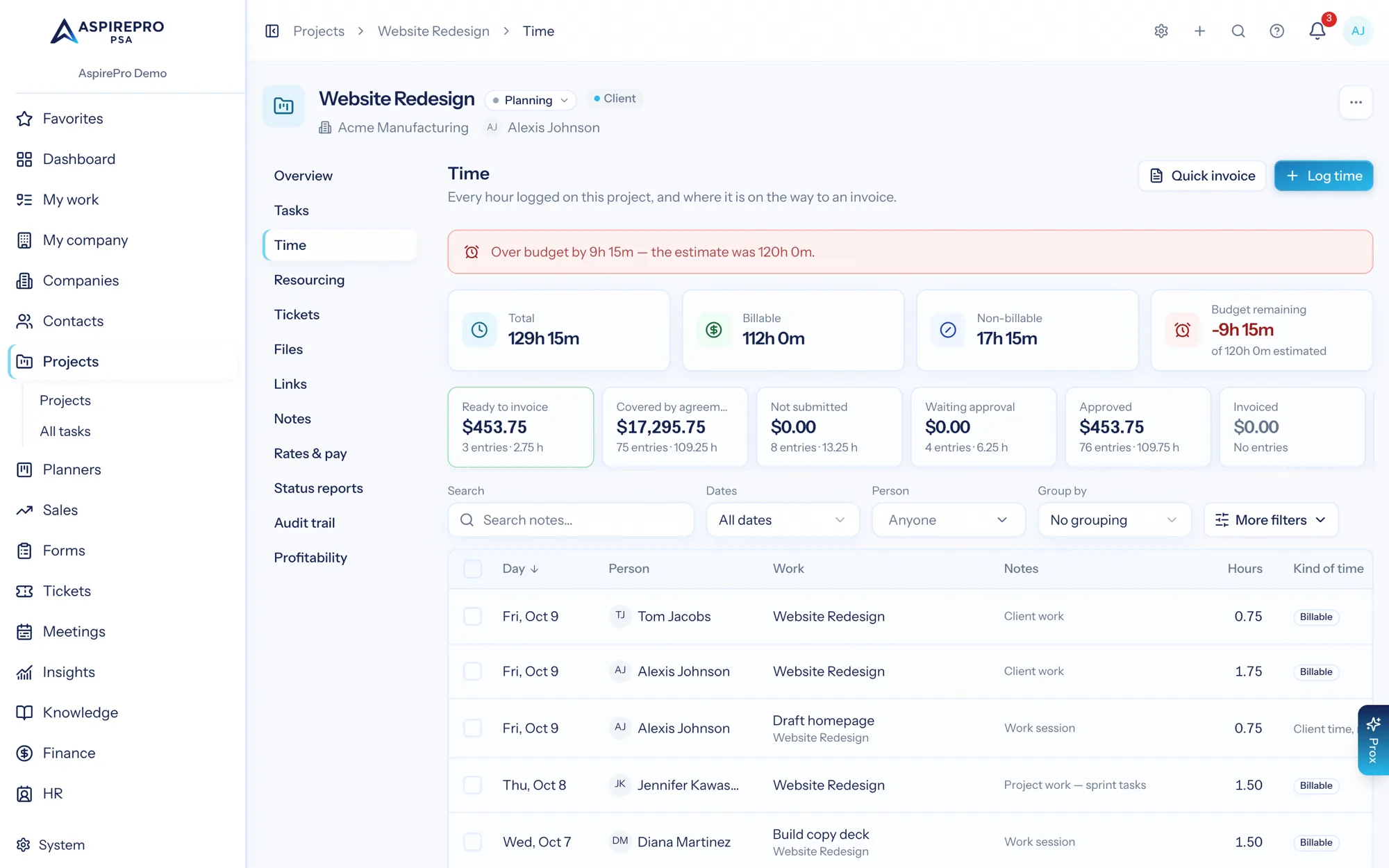 The project time tab showing budget consumed, hours remaining and individual time entries by person